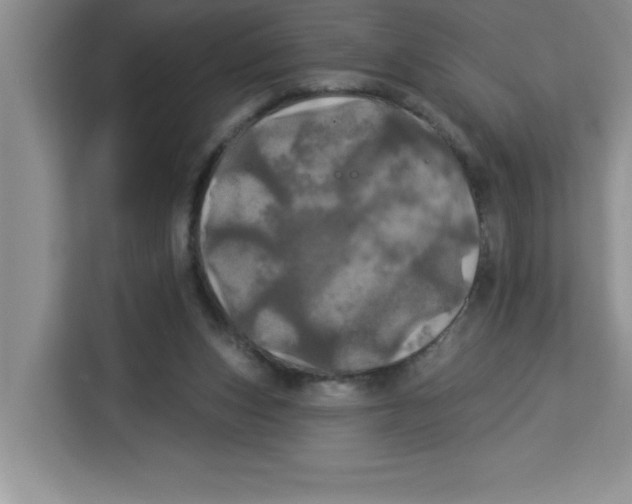 X0000113920159200910221400