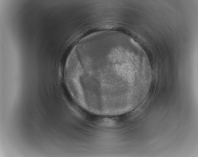 X0000113920166200910221401