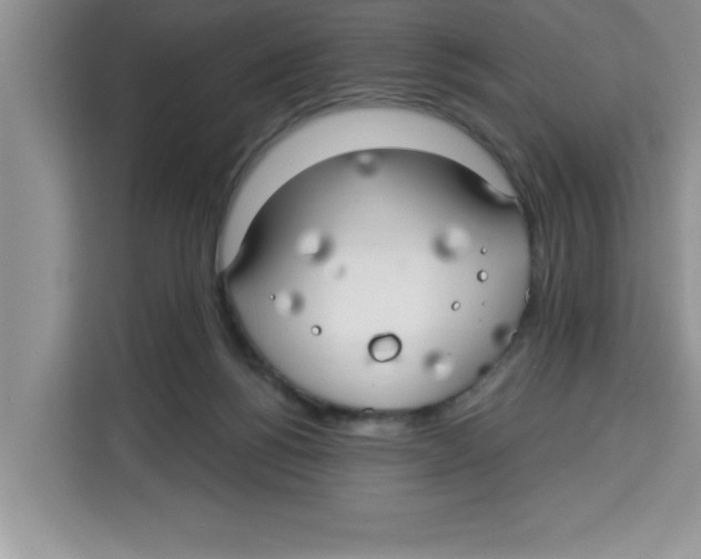 X0000113920168200910221401