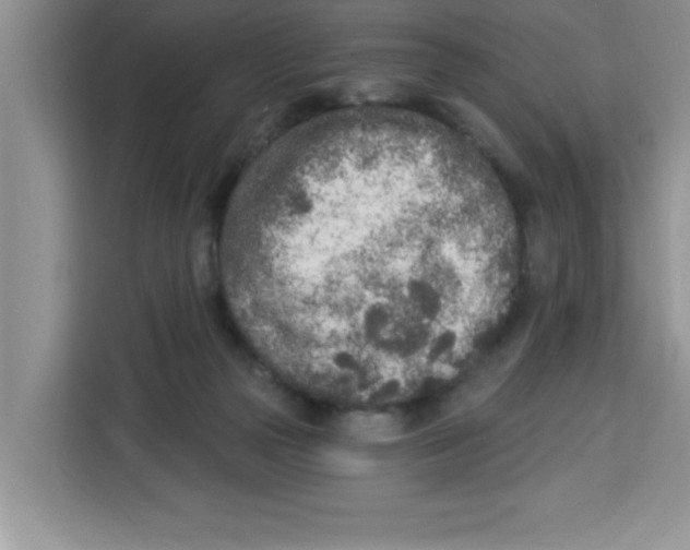 X0000113920169200910221401