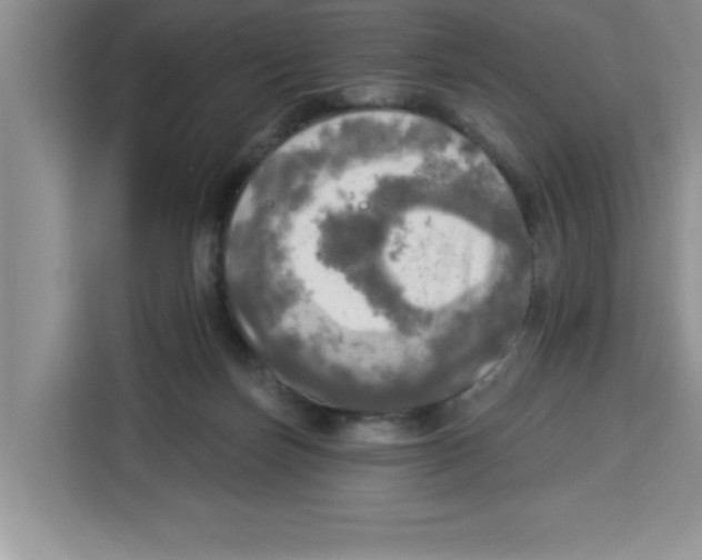 X0000113920171200910221401