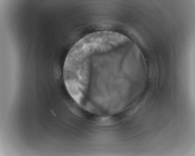 X0000113920173200910221401
