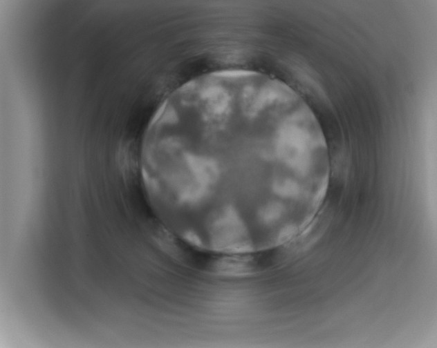 X0000113920179200910221401