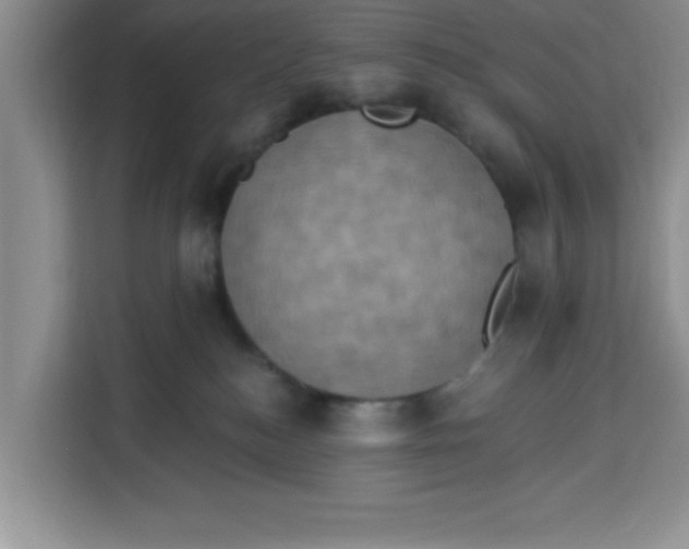 X0000113920184200910221401