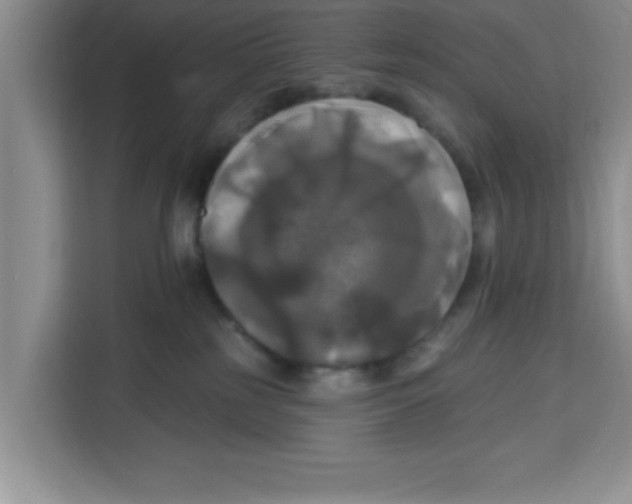 X0000113920185200910221401