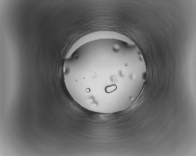 X0000113920188200910221401