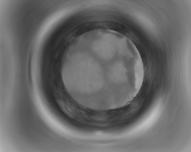 X0000113920191200910221401