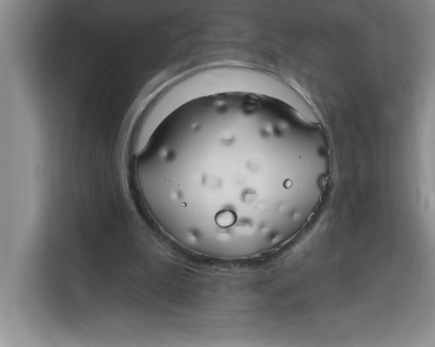 X0000113920199200910221400