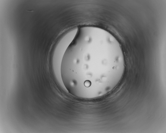 X0000113920203200910221400