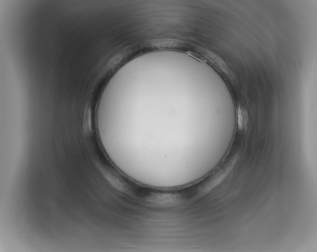 X0000113920205200910221400