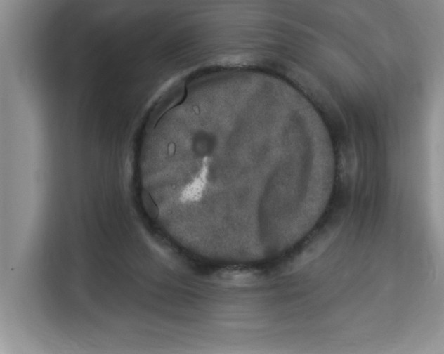 X0000113920208200910221400
