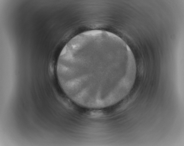 X0000113920214200910221400