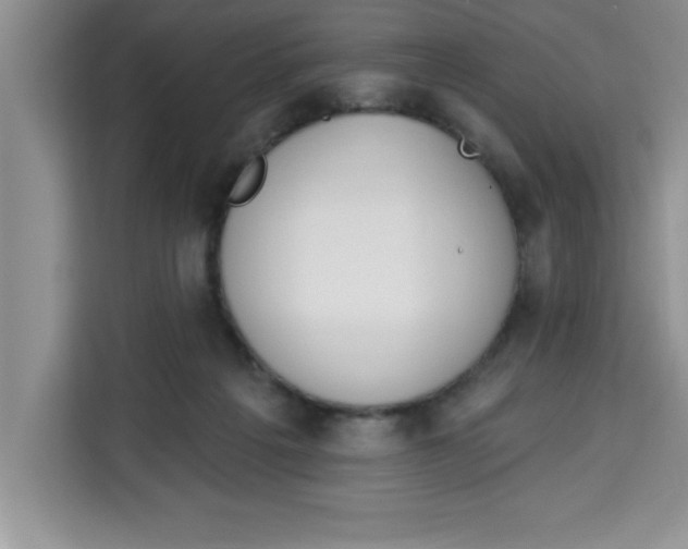 X0000113920217200910221400