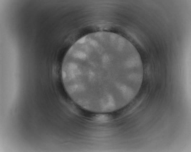X0000113920218200910221400