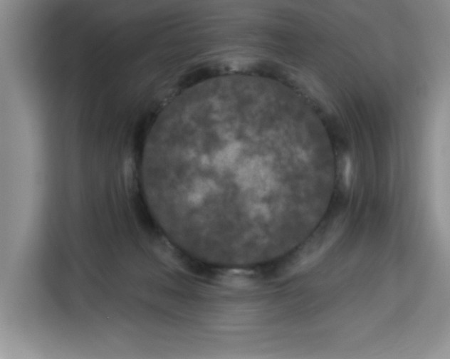 X0000113920222200910221400