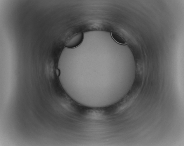 X0000113920223200910221400