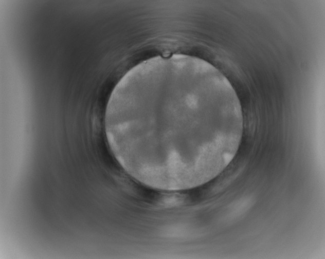 X0000113920226200910221400