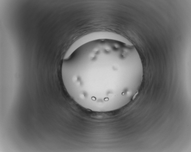 X0000113920229200910221400