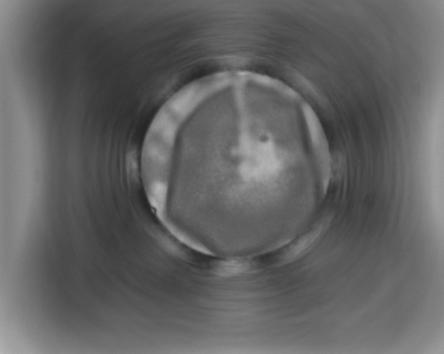 X0000113920238200910221400