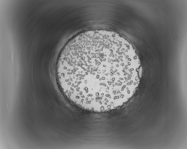 X0000113920241200910221359