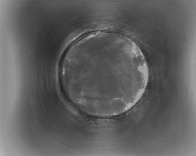 X0000113920242200910221359