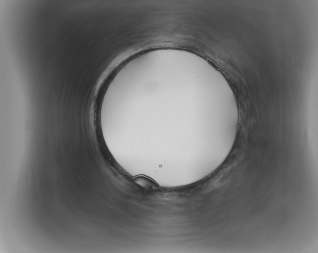 X0000113920244200910221359