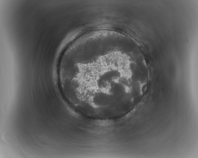 X0000113920245200910221359