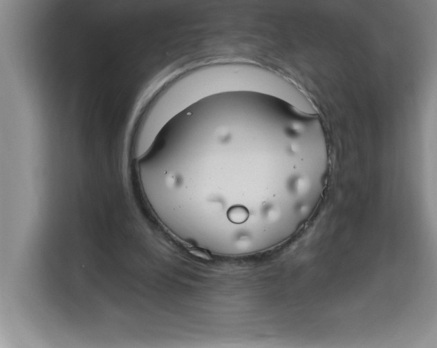 X0000113920248200910221359