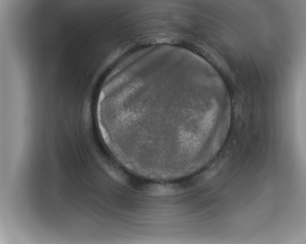 X0000113920250200910221359