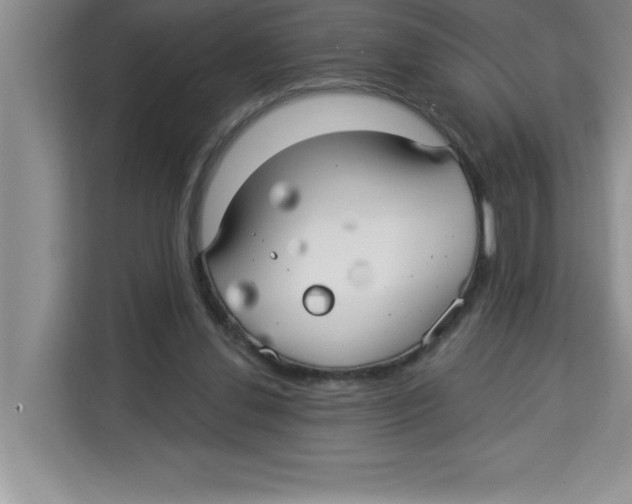 X0000113920252200910221359