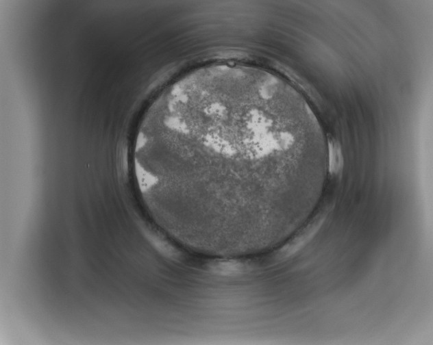 X0000113920253200910221359