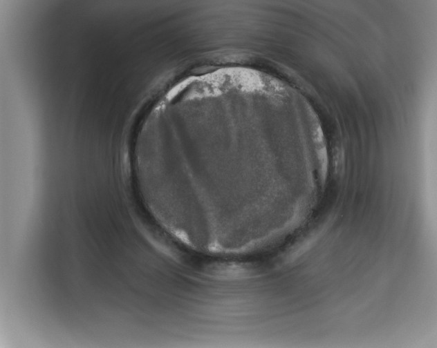 X0000113920254200910221359