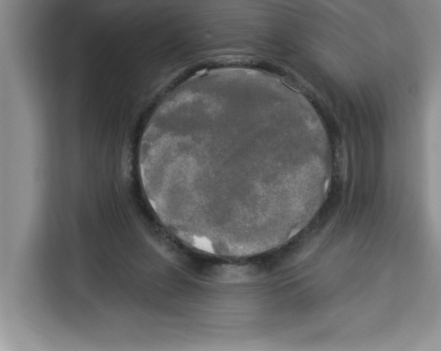 X0000113920255200910221359