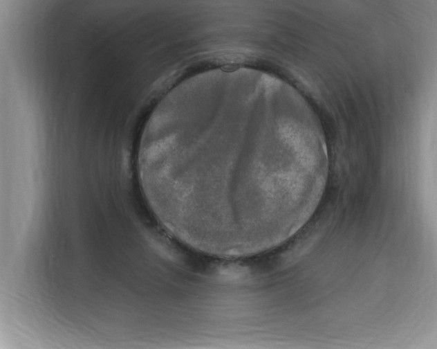 X0000113920258200910221359