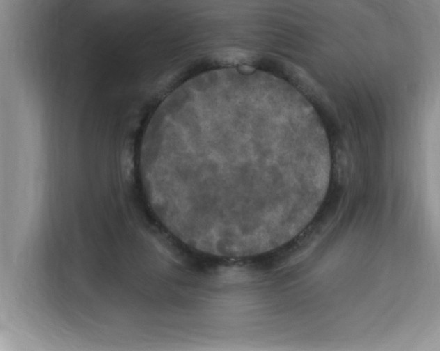 X0000113920259200910221359