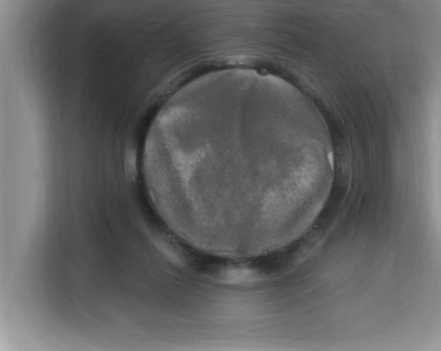 X0000113920262200910221359