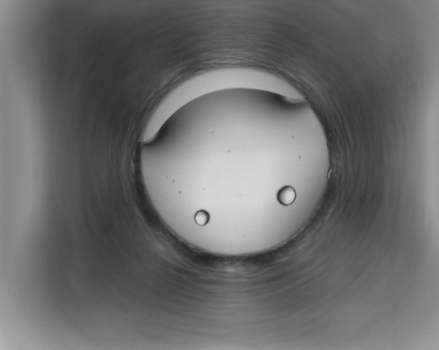 X0000113920264200910221359