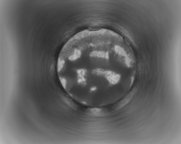 X0000113920265200910221359