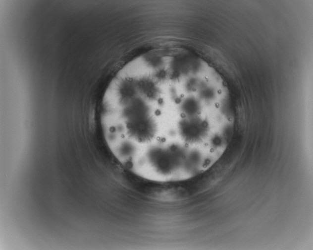X0000113920267200910221359