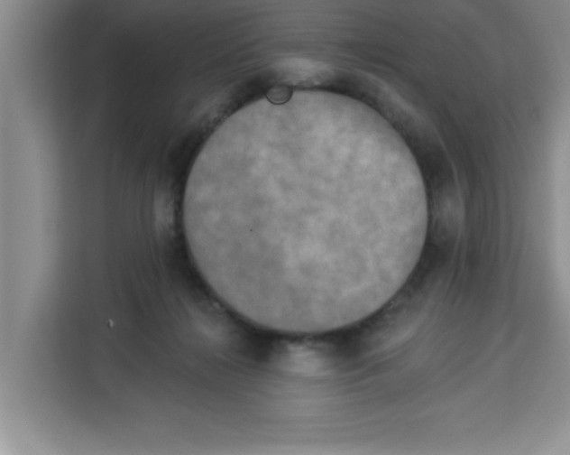 X0000113920268200910221359