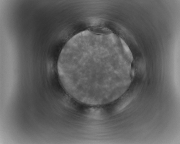 X0000113920272200910221359
