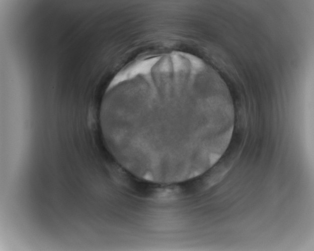 X0000113920274200910221359