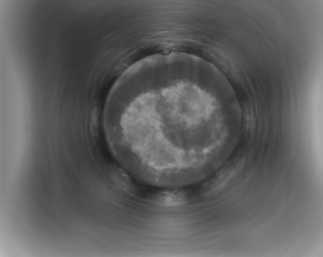 X0000113920275200910221359