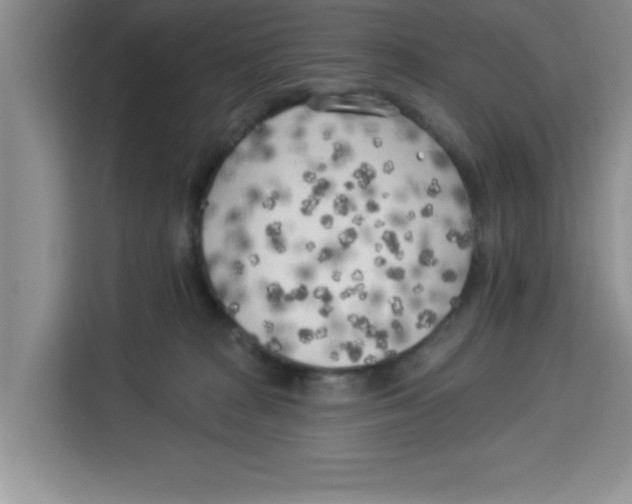 X0000113920277200910221359