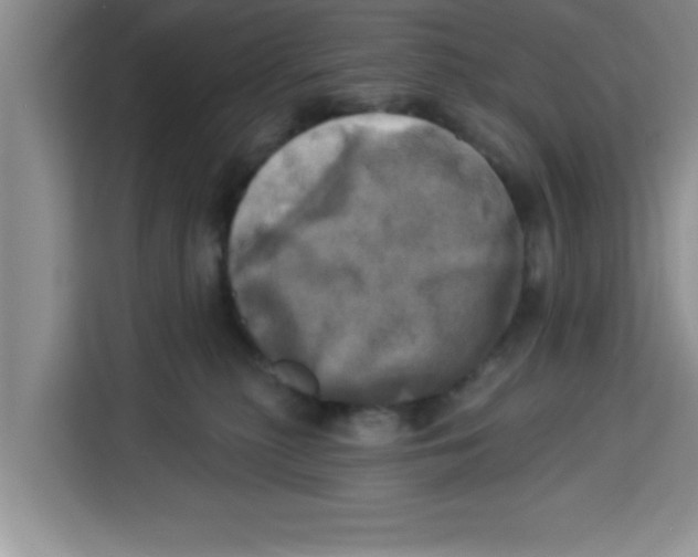 X0000113920279200910221359