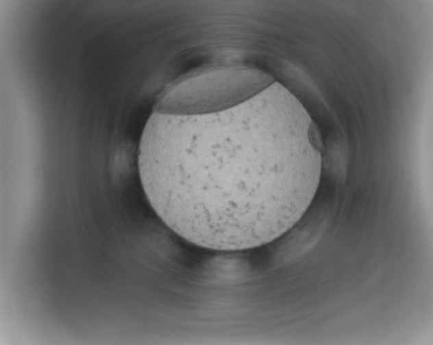 X0000113920280200910221359