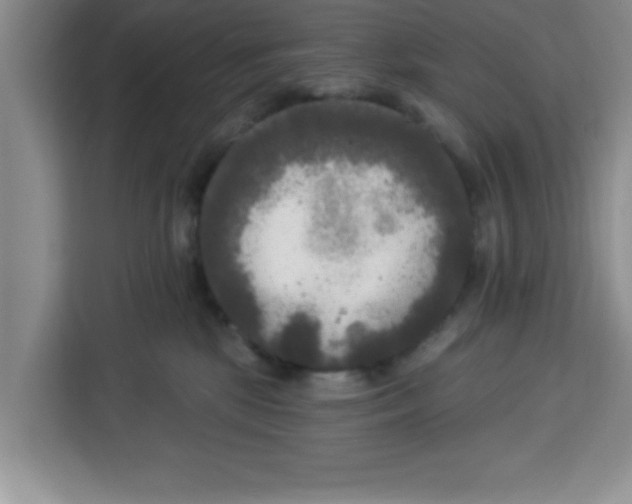 X0000113920281200910221359