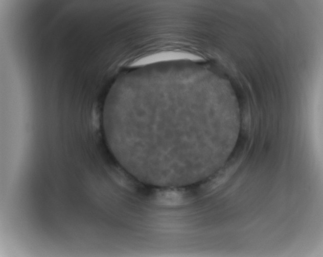X0000113920282200910221359
