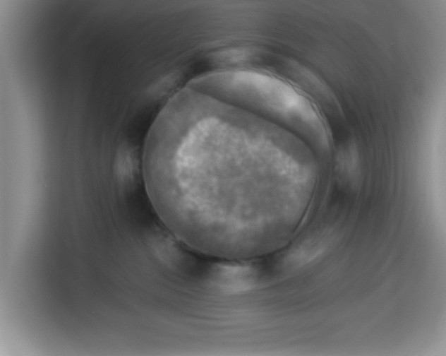 X0000113920284200910221359