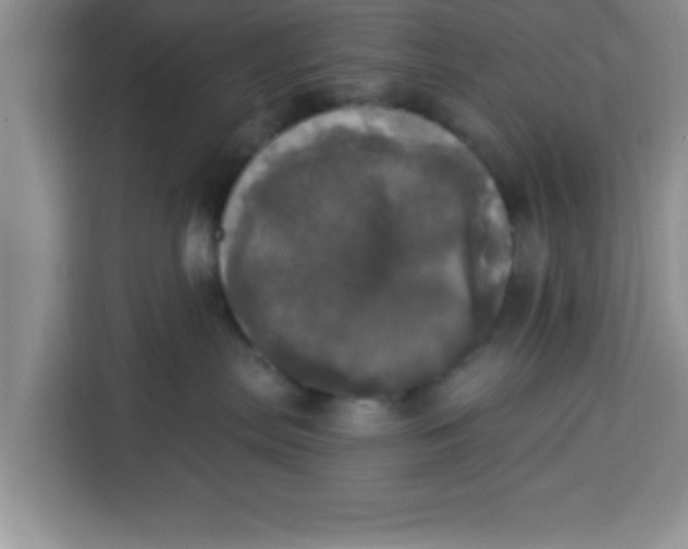 X0000113920287200910221400